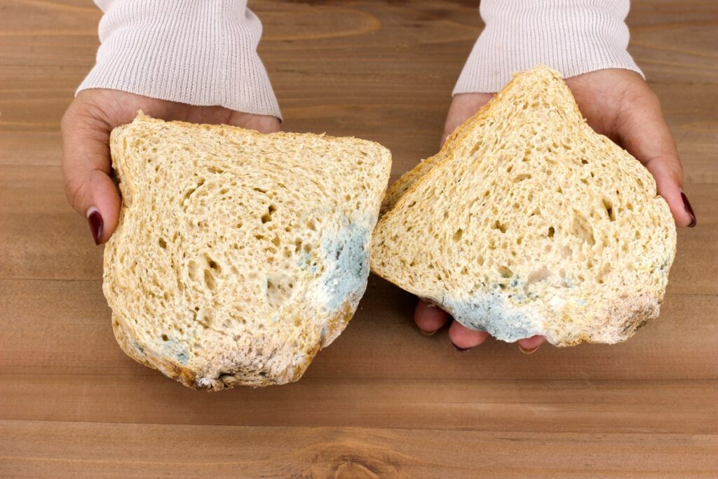Imagen de una rebanada de pan con una pequeña mancha verde de moho