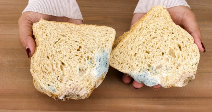 Imagen de una rebanada de pan con una pequeña mancha verde de moho