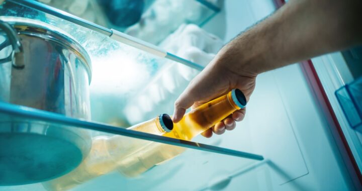 Una persona sosteniendo una cerveza fría de una estantería de refrigerador