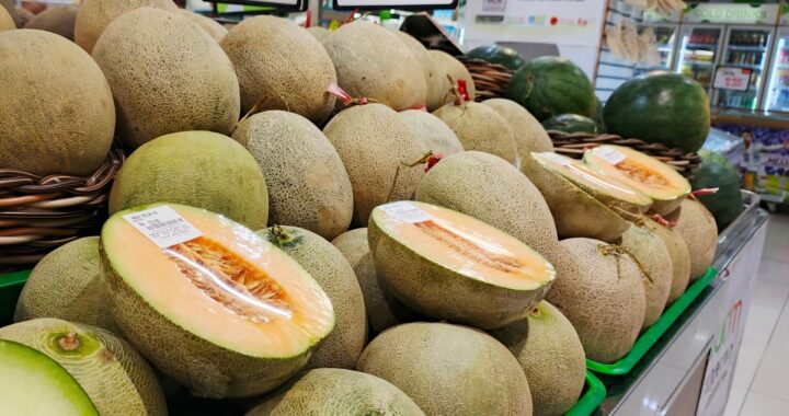 Un melón cantalupo fresco y jugoso sobre una mesa de madera 'de cama' con una mancha amarilla en la parte inferior